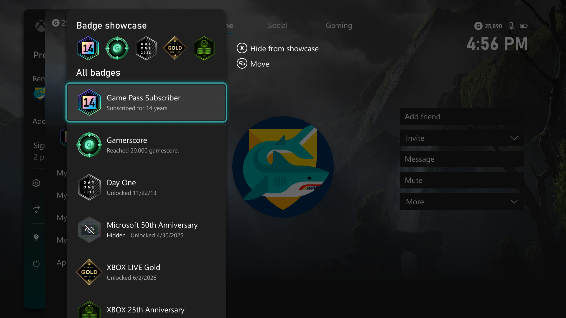 Xbox Insider