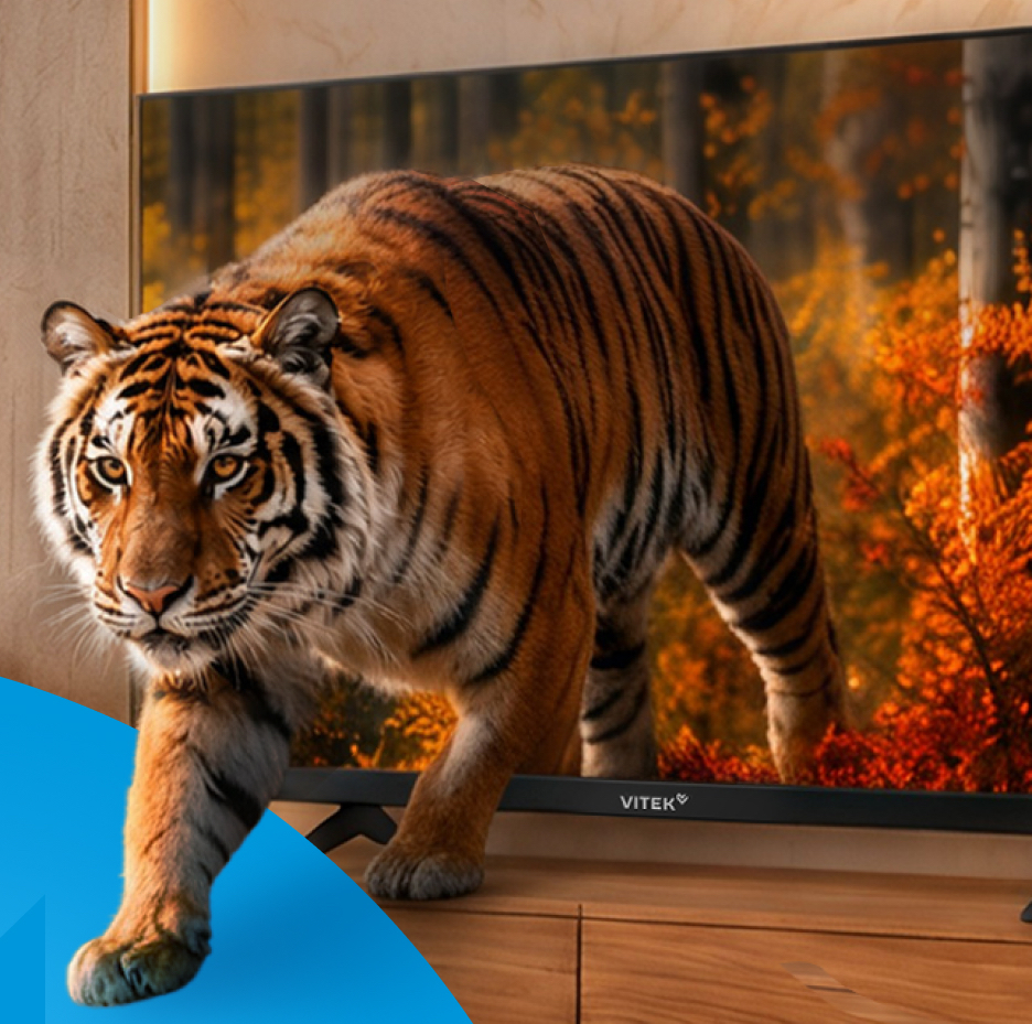 Google TV, YaOS с «Алисой», 4K и QLED: Vitek представил линейку телевизоров