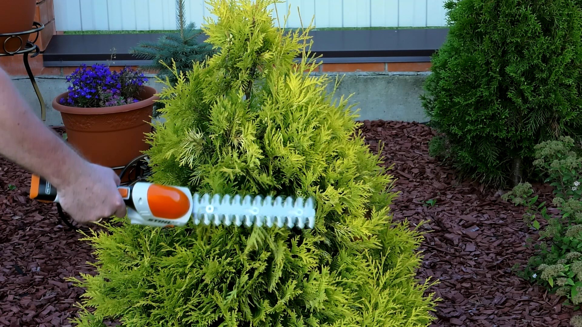Обзор аккумуляторного секатора Stihl HSA 25 со сменными ножами